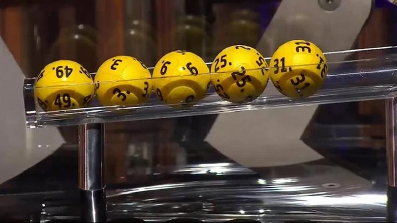 Trực Tiếp Đá Gà Thomo: Sự Kiện Thú Vị Dành Cho Người Đam Mê